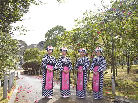 伊豆大島　あんこさん